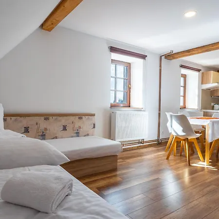 Penzion Houda Bouda - Penzion&apartmány Boží Dar